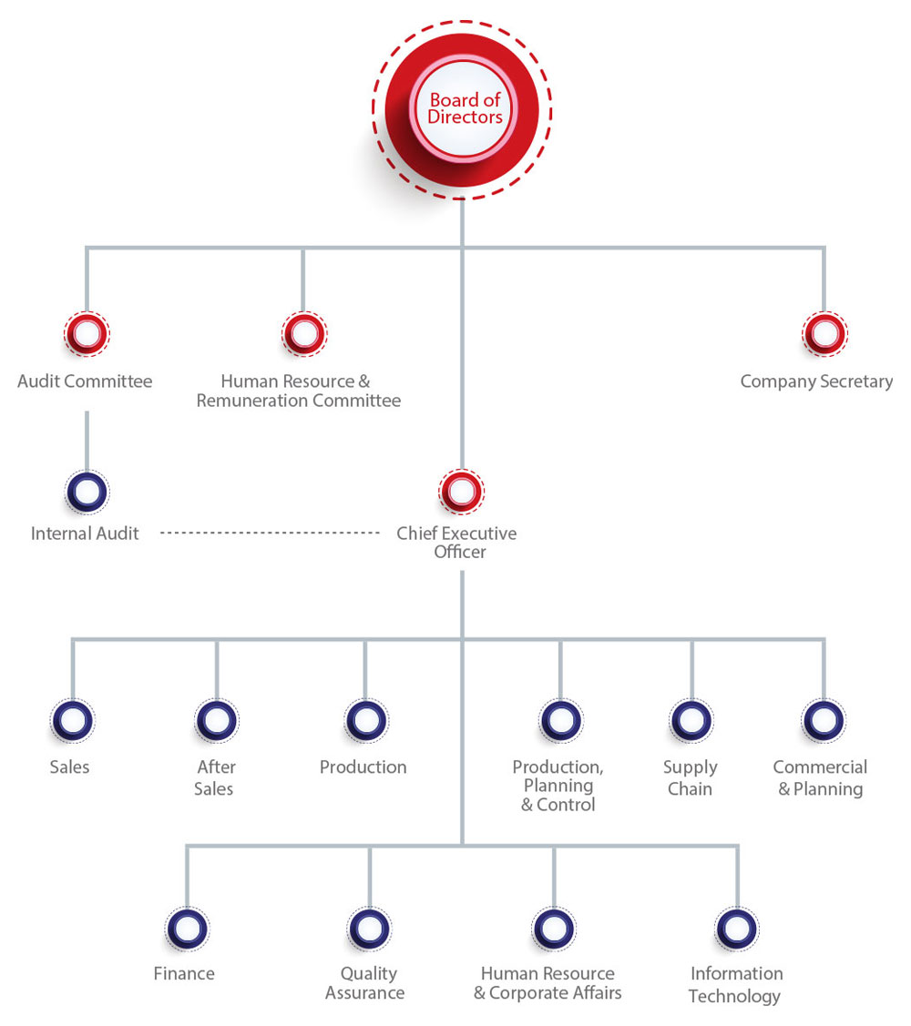 Pvt Ltd Company Designation Chart